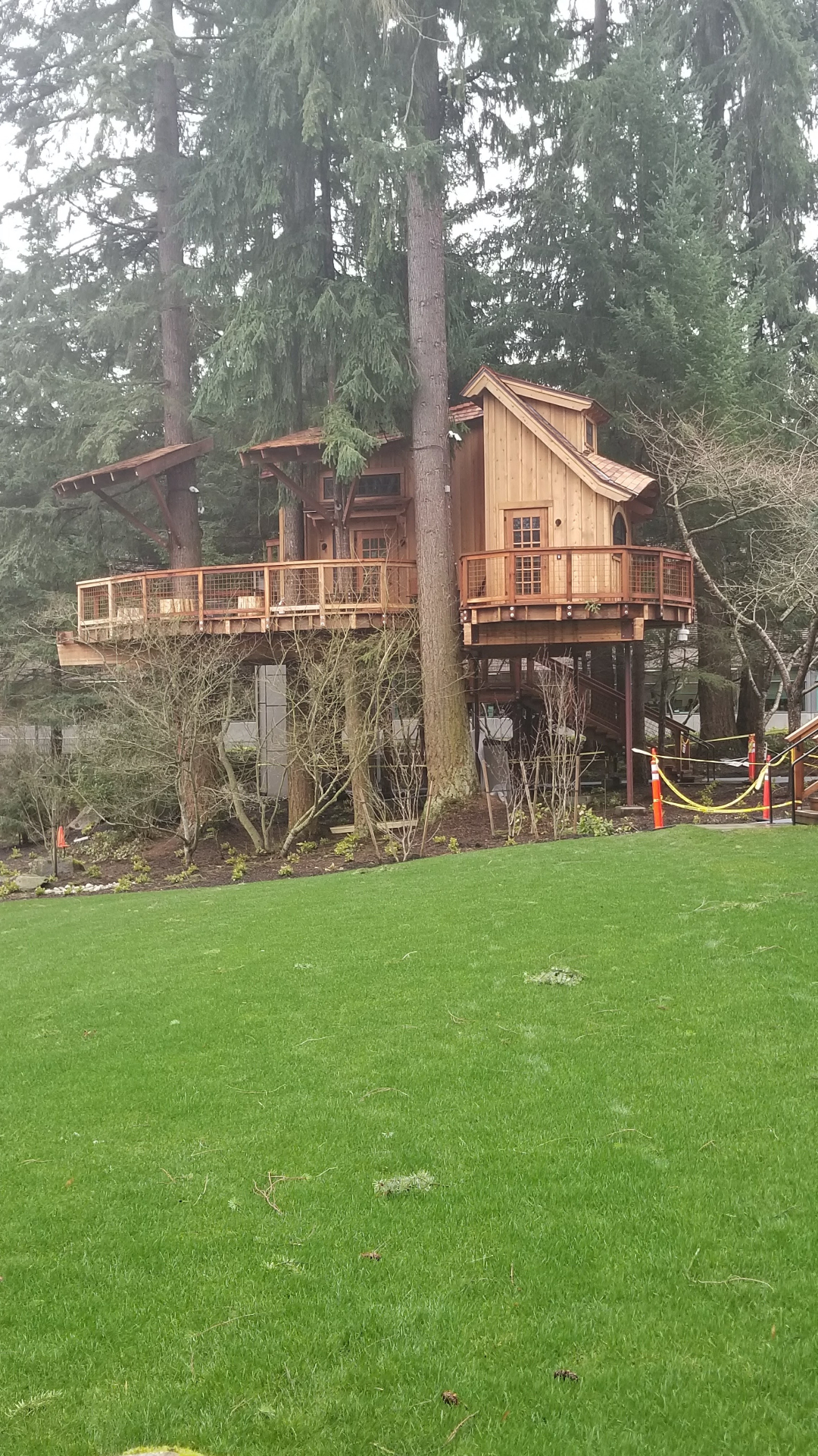 The treehouse built as part of the Pebble Beach campus renovation
